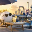 Başkent Doğalgaz 2026 6 Aylık Finansal Sonuçları