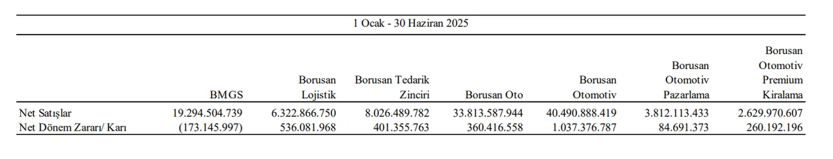 Özkaynak Yöntemiyle Değerlenen Yatırımlar - 2025