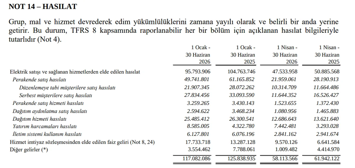 Hasılat Kırılımı