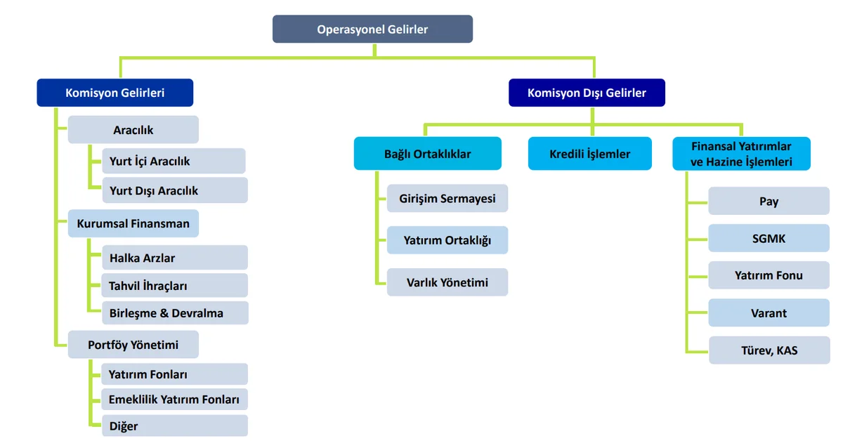 Faaliyet & Gelir Alanları