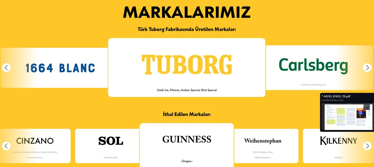 Tuborg'a Ait & İthal Markalar